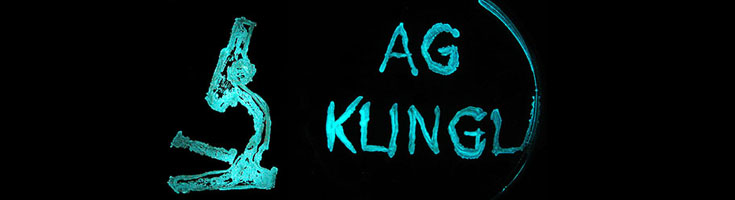 ag_klingl_logo_slider_735x200